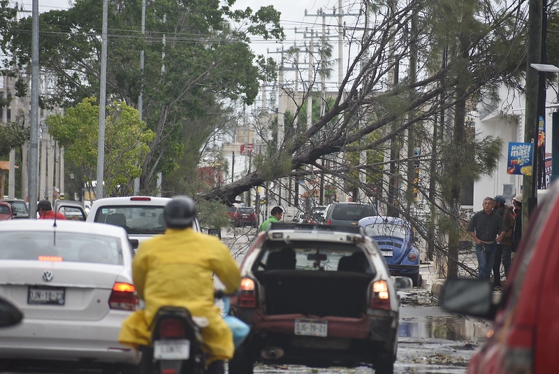 Debemos generar medidas de prevención contra huracanes: Lixion Ávila