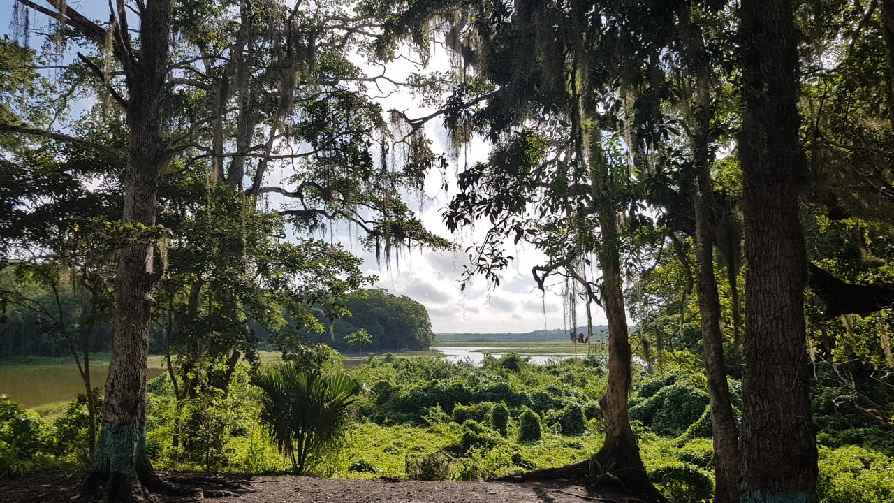 Destinos turísticos deben ver a la naturaleza como una inversión: Conanp