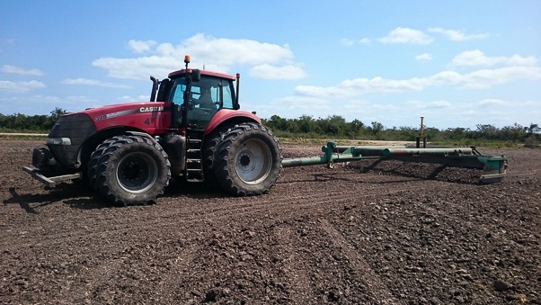 Arroceros de Campeche esperan desarrollo con el Tren Maya