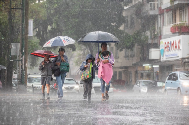 Tormenta tropical 'Bertha' se forma en el golfo de México; se desplaza hacia Florida