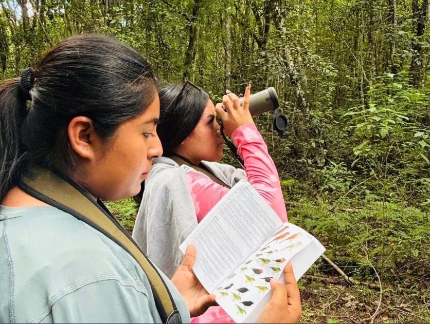 Inicia el Festival de las Aves y Maratón El Tormento Balam Beh 2026 de Campeche