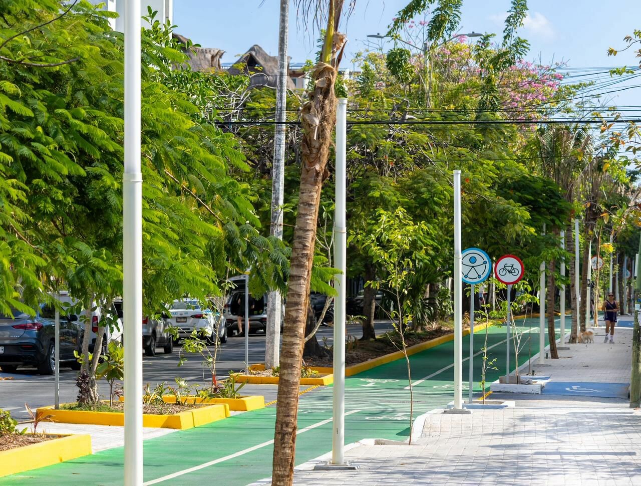 Estefanía Mercado entrega primera etapa de la modernización de la Avenida 10 de Playa del Carmen