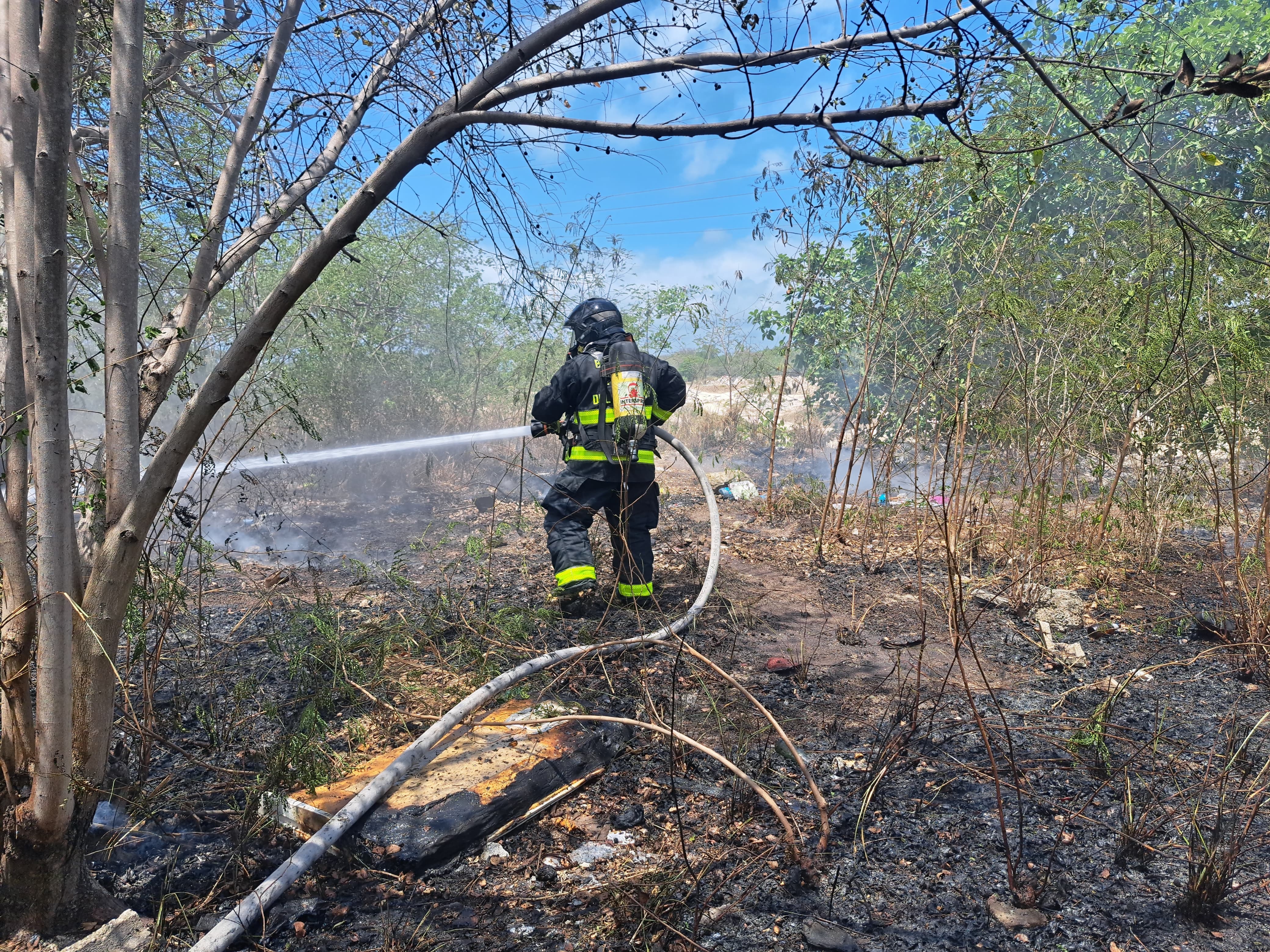 Llaman a ciudadanos de Playa del Carmen a evitar incendios