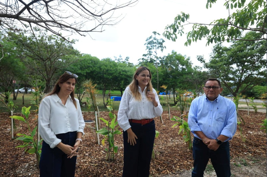 Mérida: Cecilia Patron entrega primer jardín de lluvia para prevenir encharcamientos en Ciudad Caucel