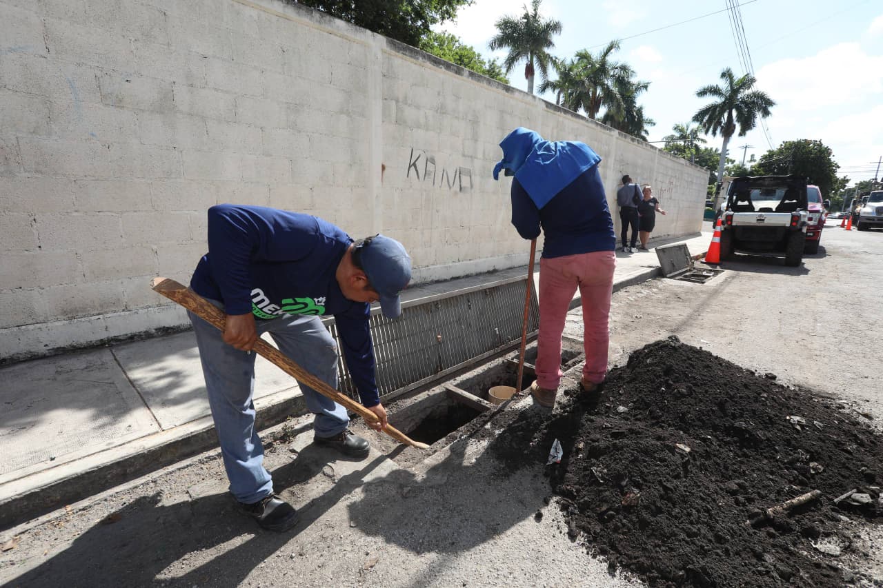 Conoce horarios y fechas disponibles de los servicios del Ayuntamiento de Mérida en Navidad y Fin de Año 