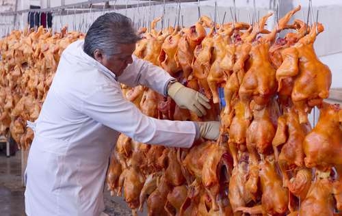 Bachoco y Modelo expandirán sus plantas en Yucatán