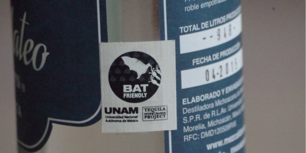 El murciélago del fin de un mundo: Ulises Carrillo