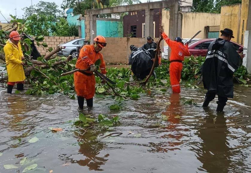 Municipios de Yucatán reportan afectaciones leves tras el paso de ‘Beryl’