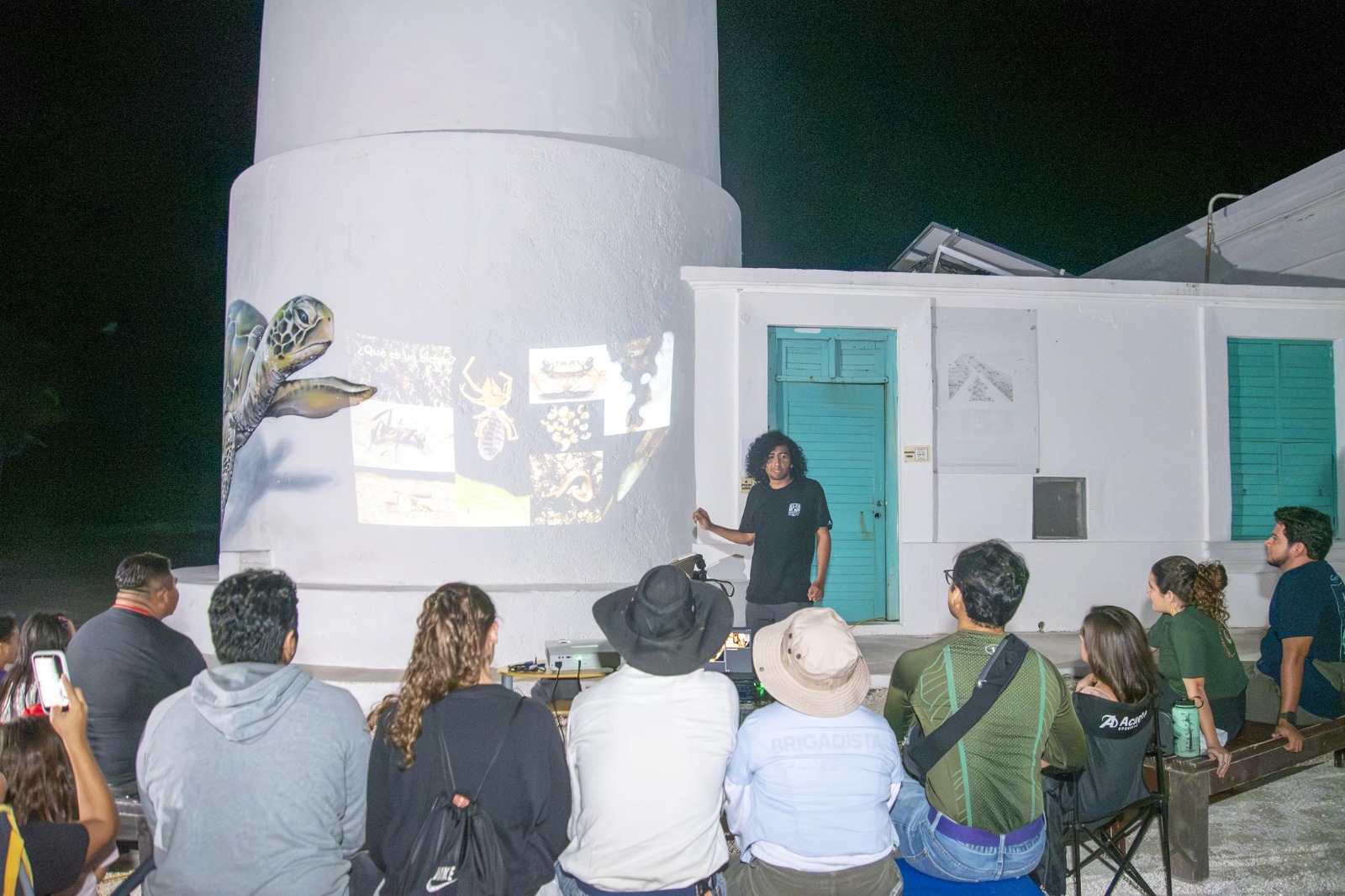 Comparten importancia ecológica y médica de los insectos en Cozumel durante la ''Bichos night''