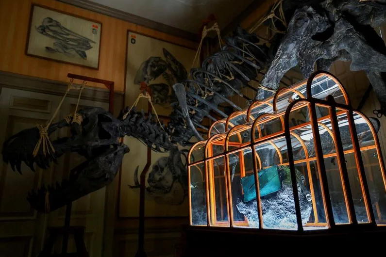 Diseñadores y científicos crean un bolso único usando colágeno de tiranosaurio rex