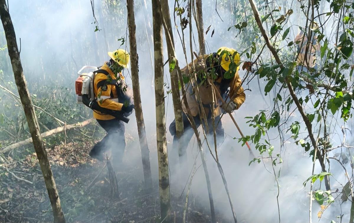 Combaten incendio forestal en Playa del Carmen; ha afectado alrededor de 100 hectáreas