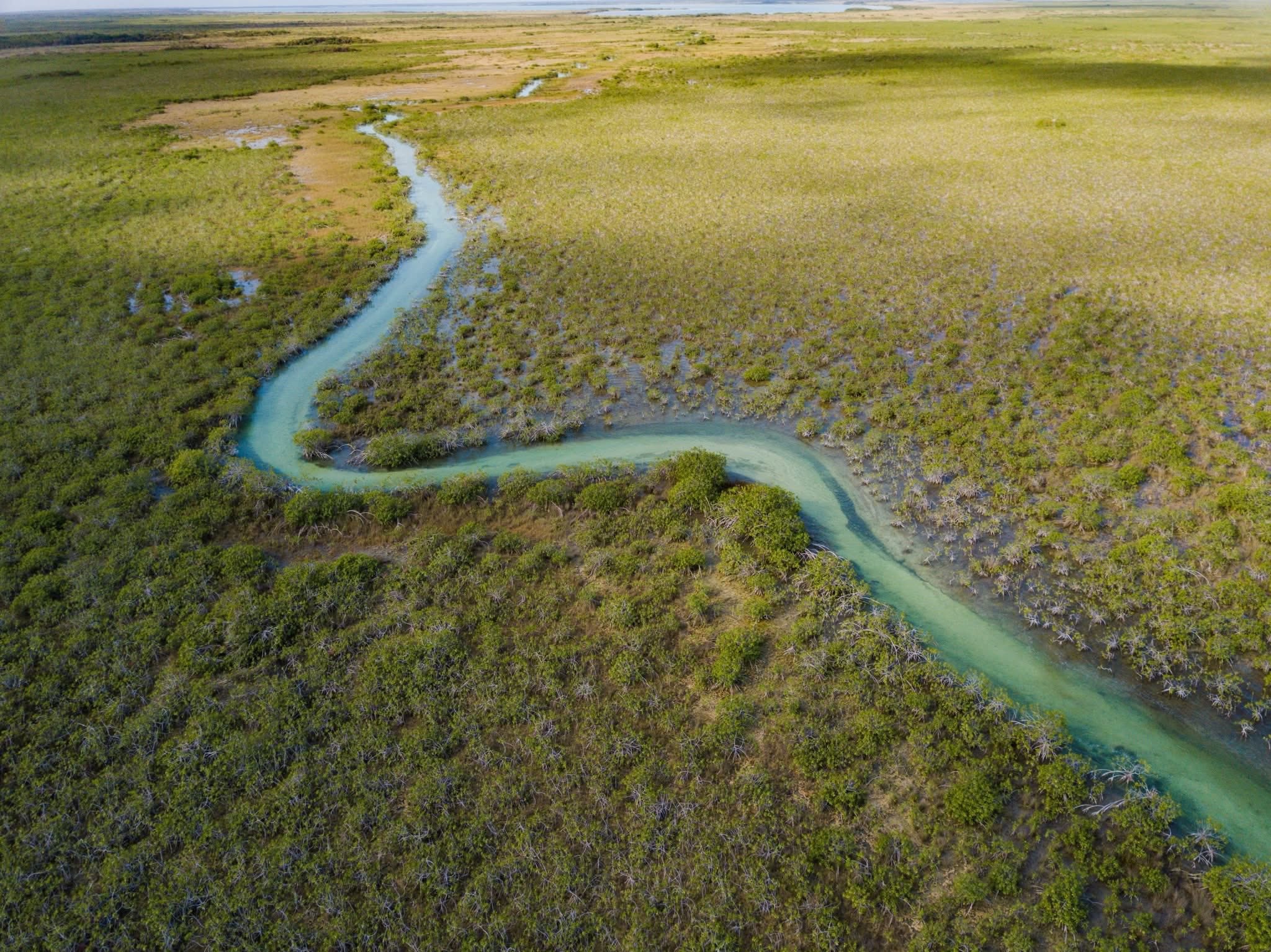 Venta de bonos de carbono tiene gran oportunidad de crecimiento en QRoo: Sustentur
