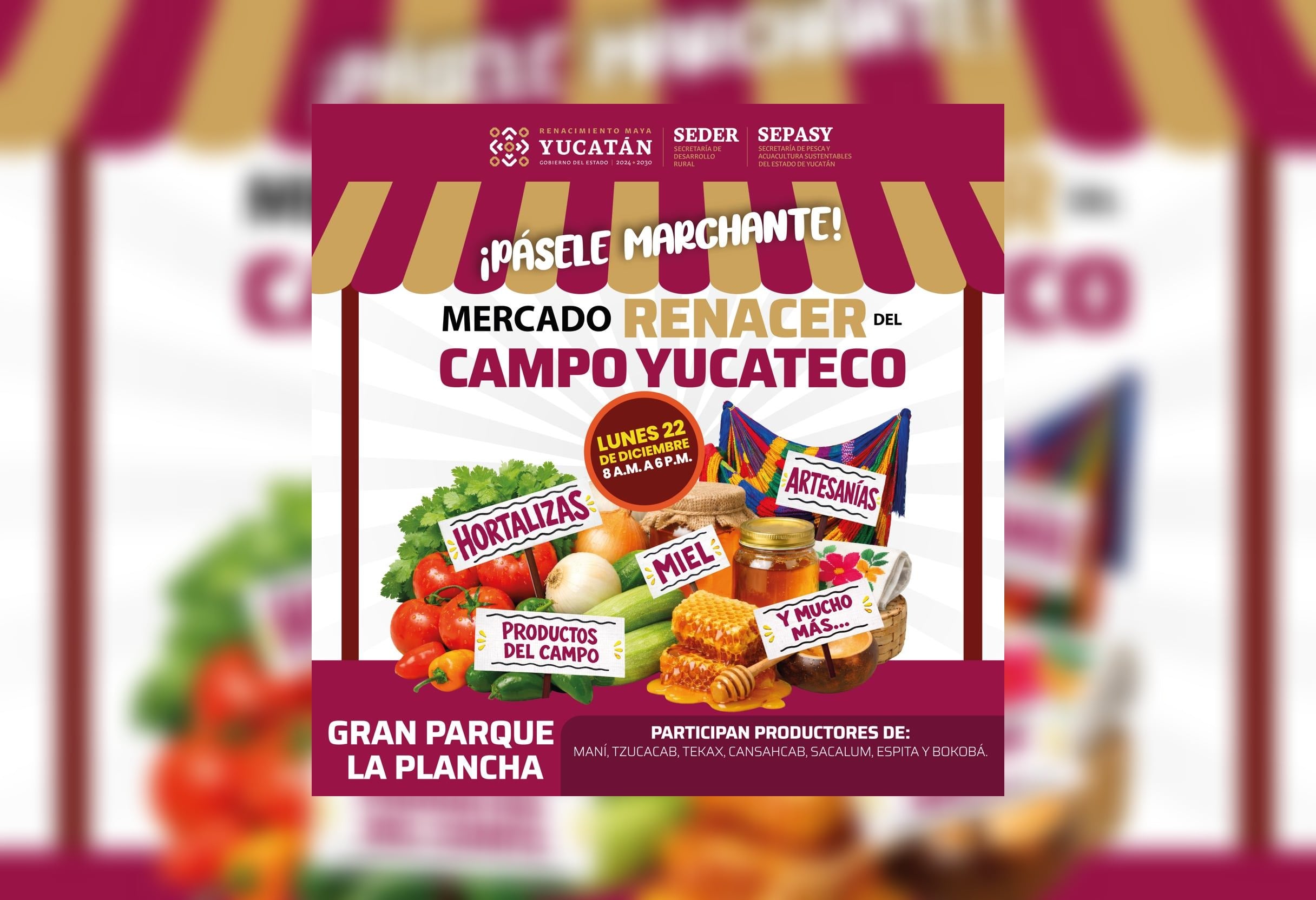 'Mercado Renacer del Campo Yucateco' llega al Parque La Plancha