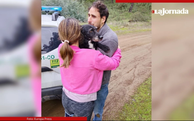 Hallan a 'Boro', perro desaparecido tras accidente de tren en España que dejó 45 muertos