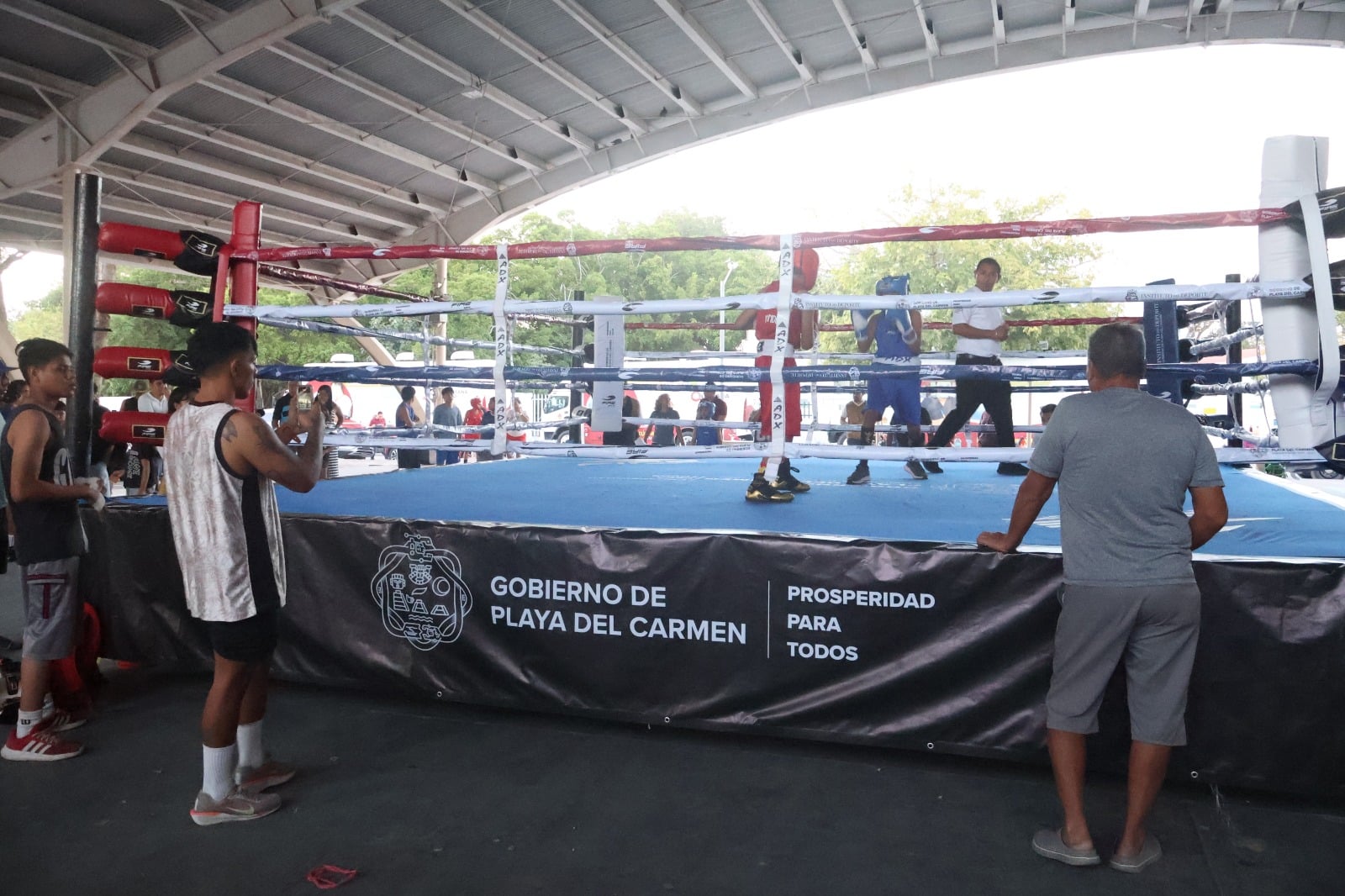 Ponen en marcha el programa 'Box en tu colonia' para fomentar el deporte en Playa del Carmen