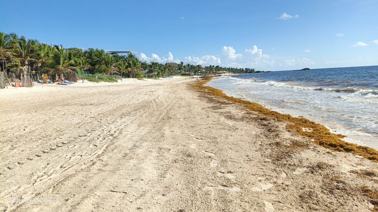 Tulum recupera el color de sus playas tras disminuir el sargazo