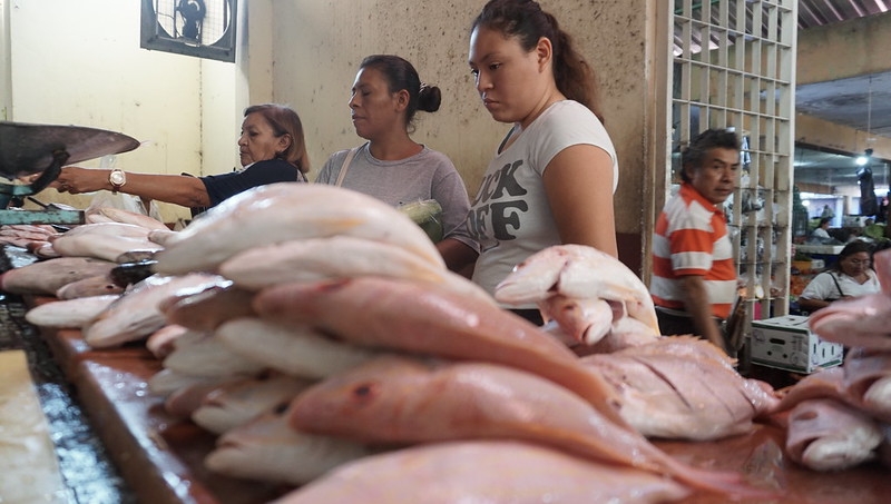 La Jornada Maya | Campeche | La Jornada Maya | Días de cuaresma, como  cualquier otro para vendedores de mariscos