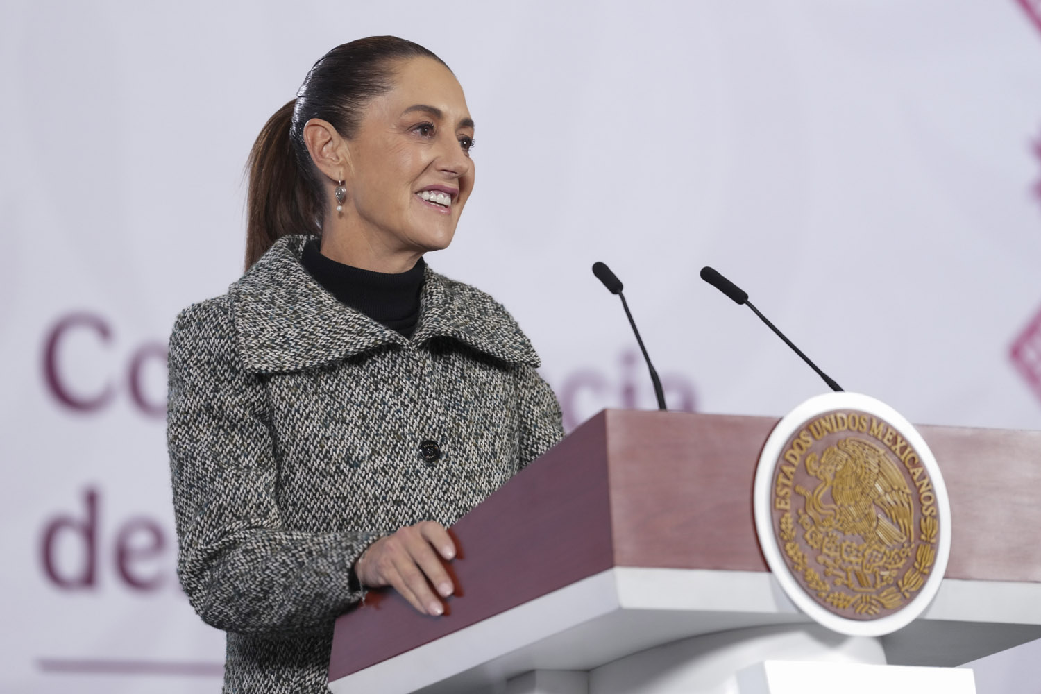 ¿''Cabeza fría'' frenó ataques a México?