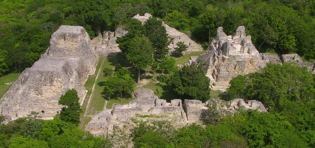 Suspensión de proyecto no existe: Fonatur y coordinadores del Tren Maya