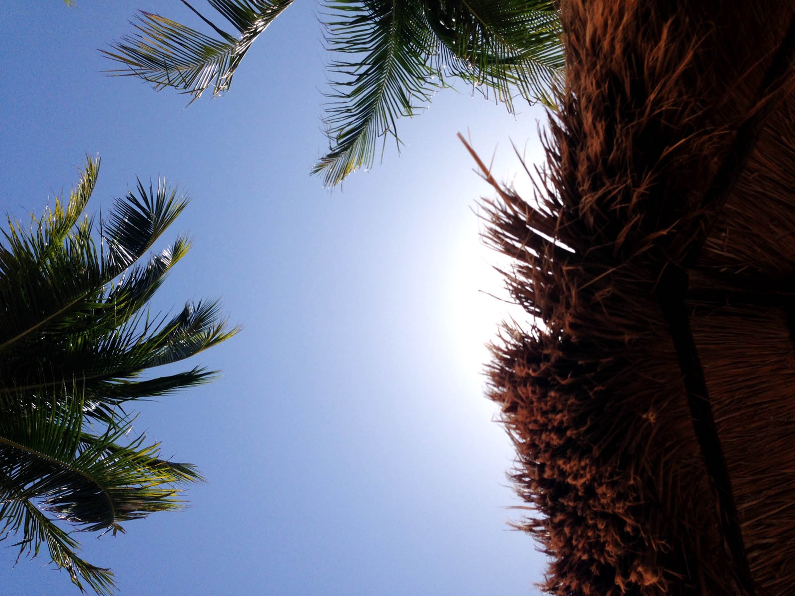 Se esperan temperaturas muy altas