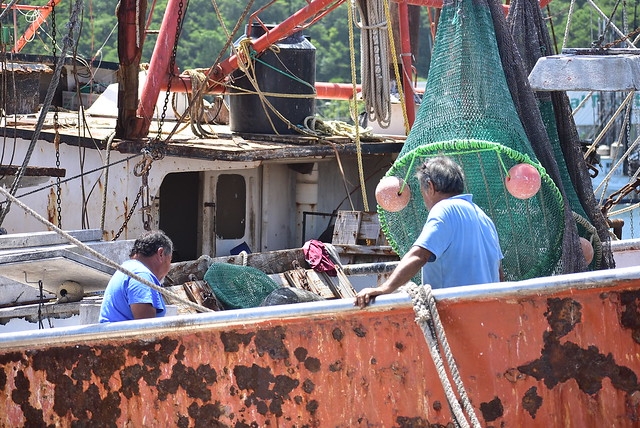 Revela Fonatur imagen de estaciones del Tren Maya en Campeche
