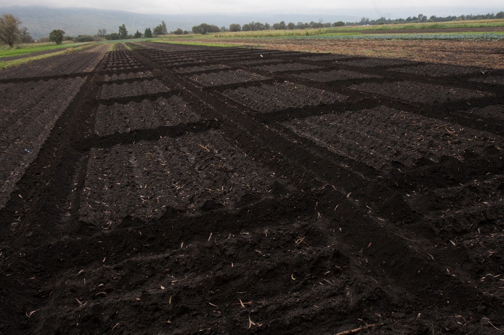 Tren maya debe garantizar respeto al medio ambiente: UCD