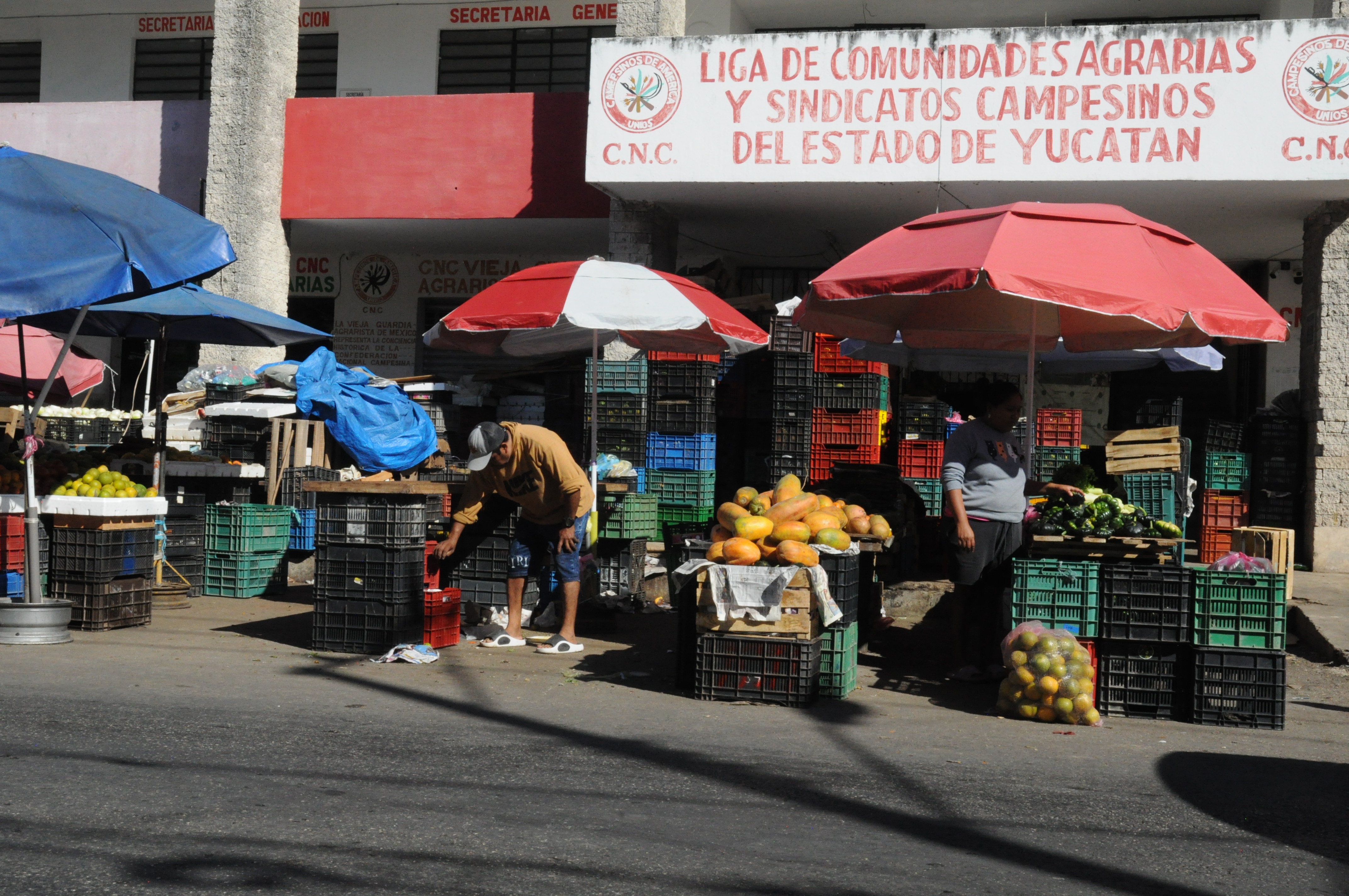 Yucatán tuvo el mayor aumento de la canasta básica al arranque del año