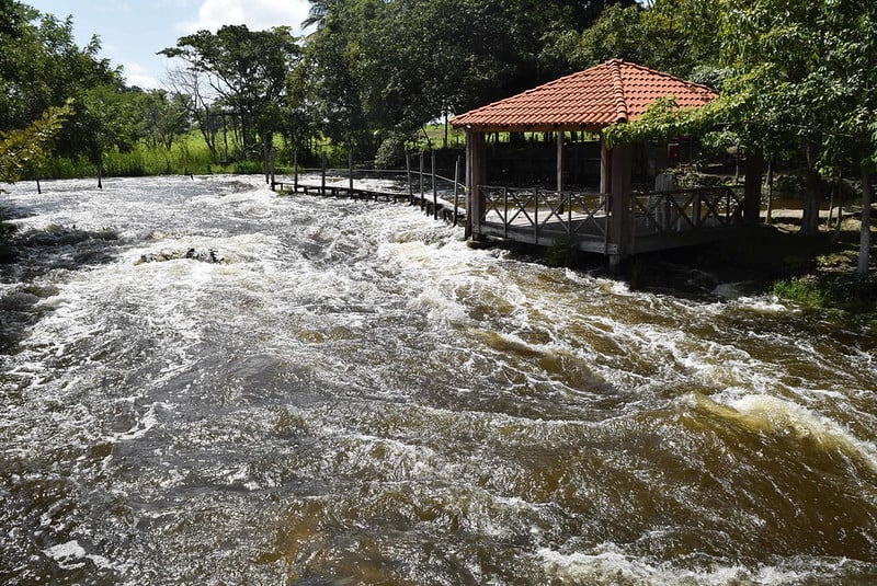 Candelaria promocionará sus atractivos naturales y su Feria anual en Tianguis Turístico