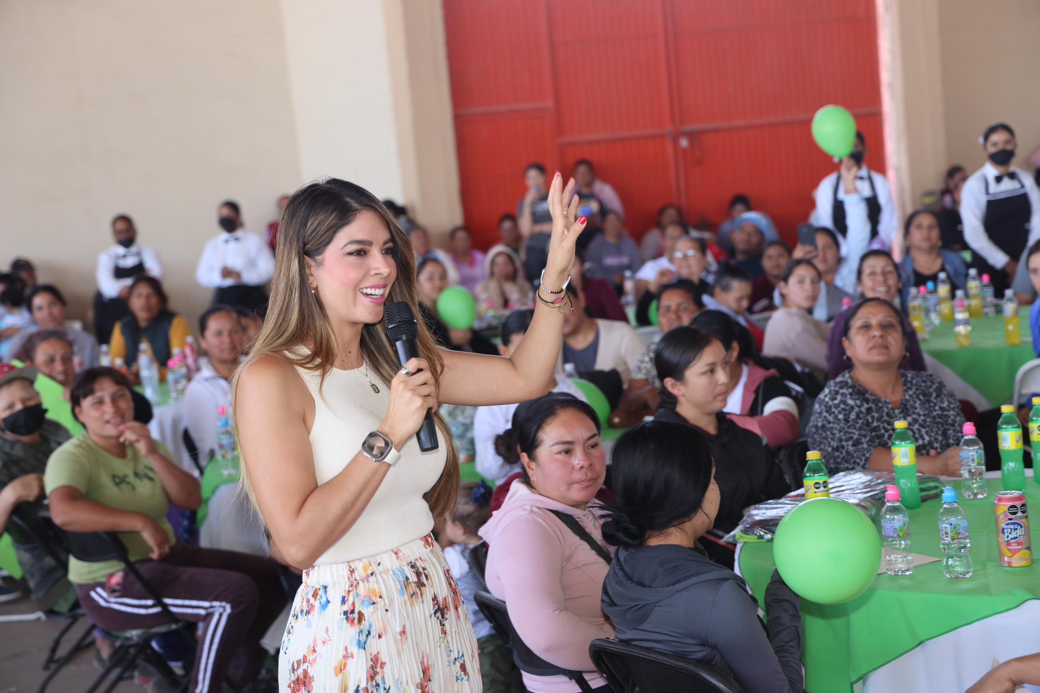 ¿SLP otra vez al Verde-Gallardo?