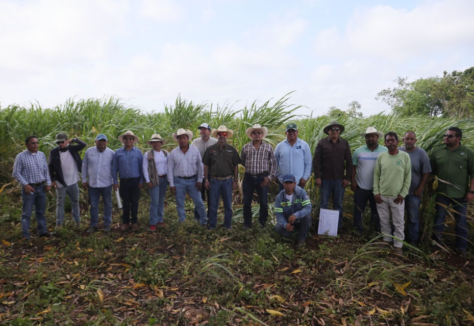 Gobierno de Quintana Roo invierte 6 mdp en el sector cañero