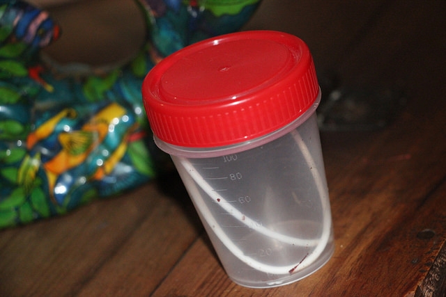 A beneficio de hogar para el desamparado