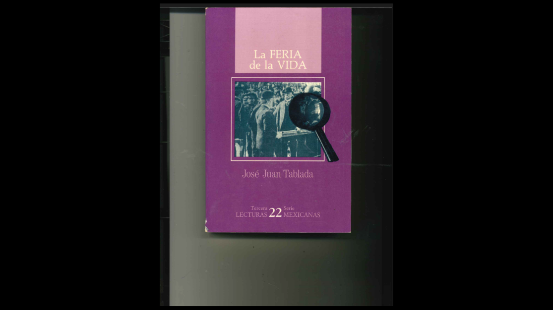 Equivocaciones políticas