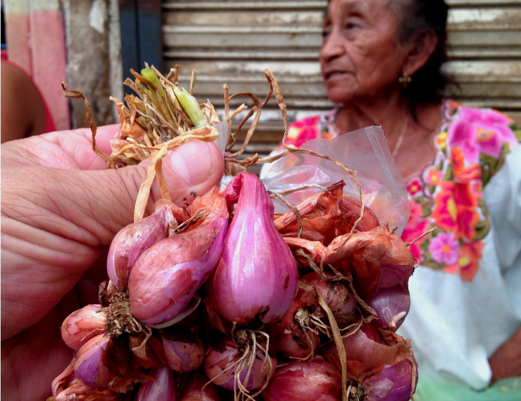 Península gastronómica