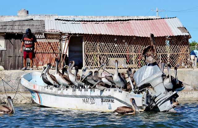 Celestún, con condiciones de vulnerabilidad social