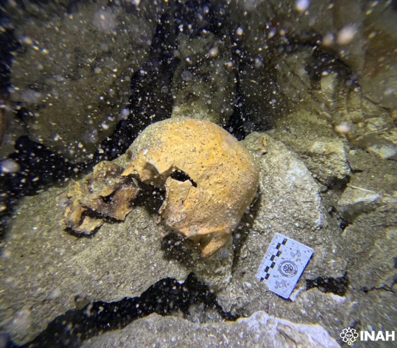 Hallan restos de una antigua mujer maya en Cenote Yaakun de Playa del Carmen