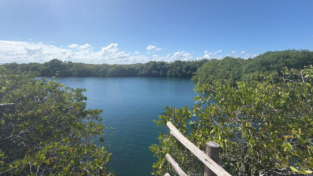 Cenote Encantado, en Tulum, reporta menos presencia de visitantes de lo esperado esta temporada