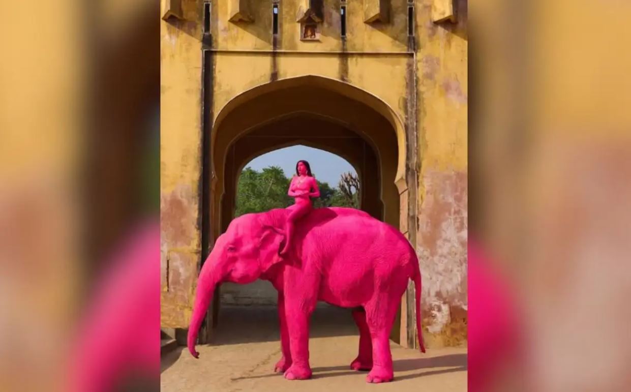 PETA India solicita prohibir paseos en elefante tras polémica muerte del elefante 'Chanchal'