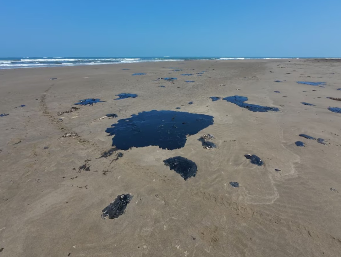 Chapopote: atajar la desinformación