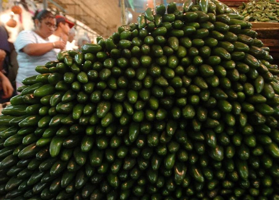 Cofepris descarta presencia de 'Salmonella Javiana' en chiles jalapeños empacados en Nuevo León