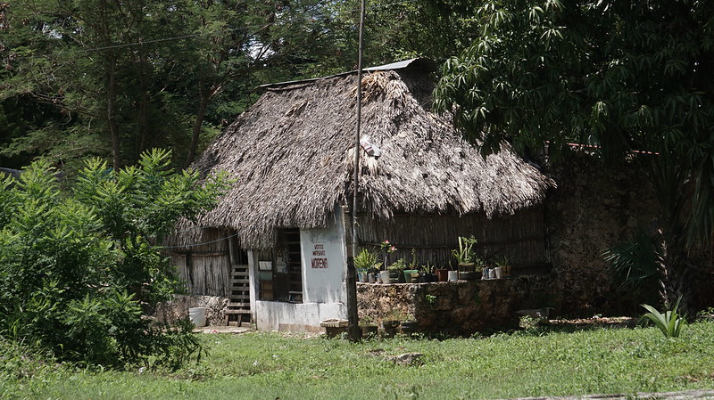 Pueblos mayas, en incertidumbre por falta de información sobre COVID-19  