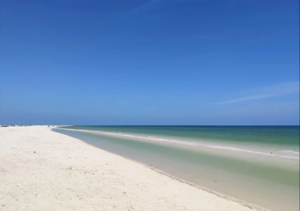 Gobierno de Yucatán exige supervisión federal al proyecto Las Dunas en Chuburná y garantiza protección del manglar