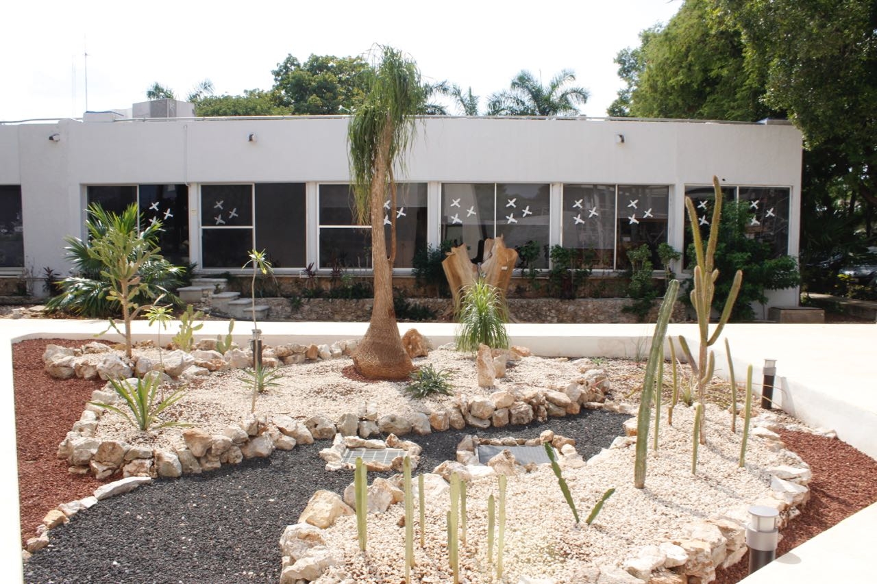 Mostrará algunos de los ejemplares de cactáceas