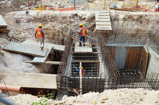 Pide IP participar en elección de director de Fideicomiso