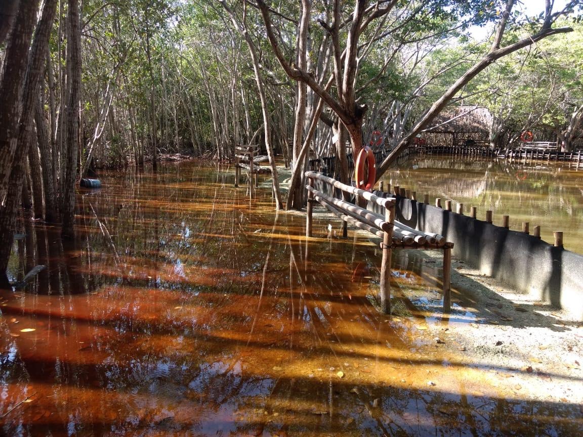 Cierra Cultur cinco paradores turísticos más por afectaciones de 'Gamma'