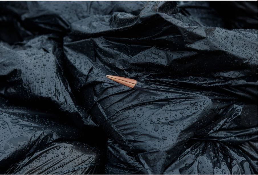 Gripe aviar deja cientos de cigüeñas muertas en España