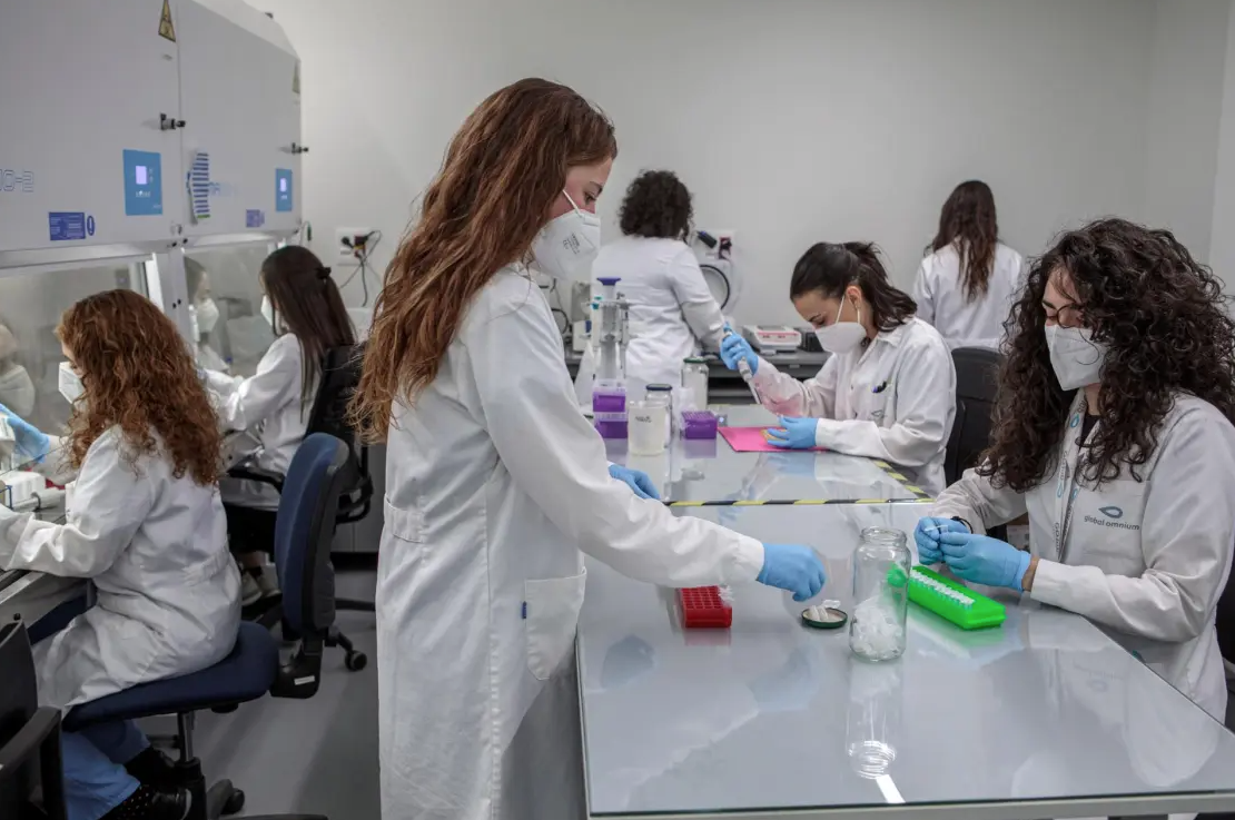 Sólo tres de cada 10 mujeres trabajan en ciencia, ingeniería y matemáticas en México: PNUD