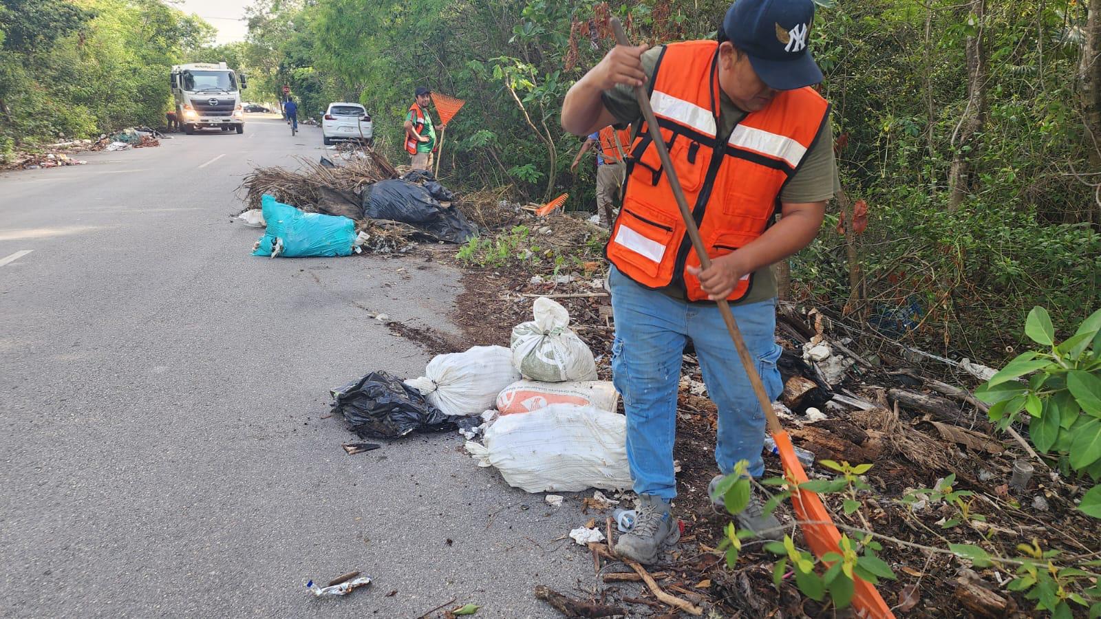 Reduce en 75 por ciento número de tiraderos de basura clandestinos en Tulum