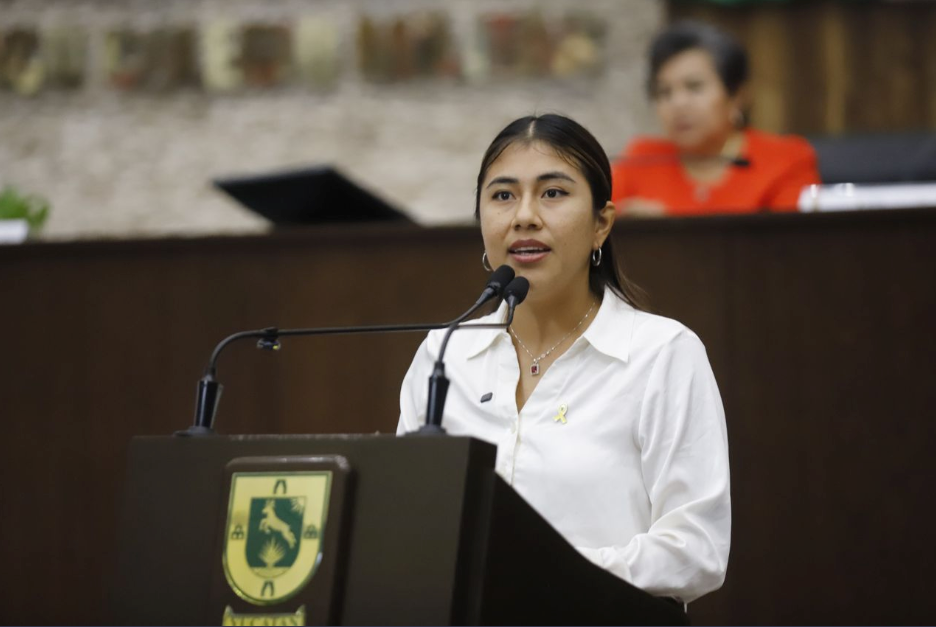 Proponer reconocer posvención, acompañamiento a sobrevivientes de suicidio, como derecho en Yucatán