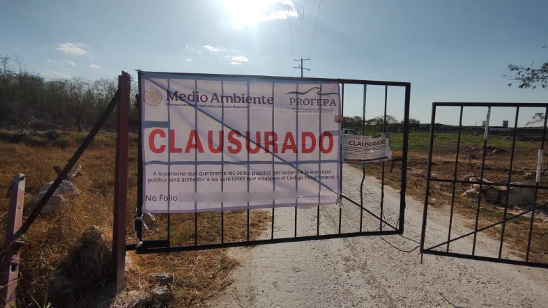 Autoridades ambientales trabajan en estrategia para atender impactos ambientales por actividad porcícola en Yucatán