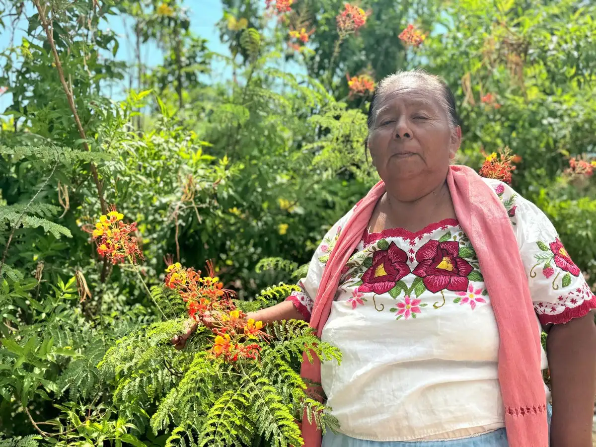 Cofepris aprueba primer consultorio tradicional indígena en Sonora